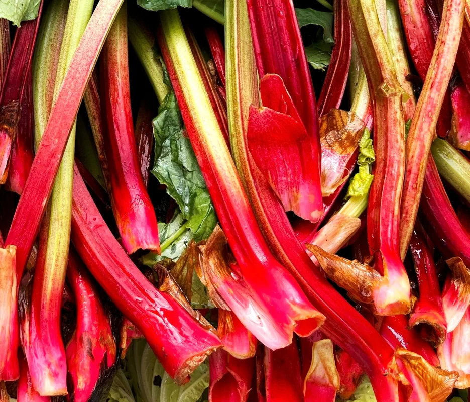 yorkshire-seeds2972849