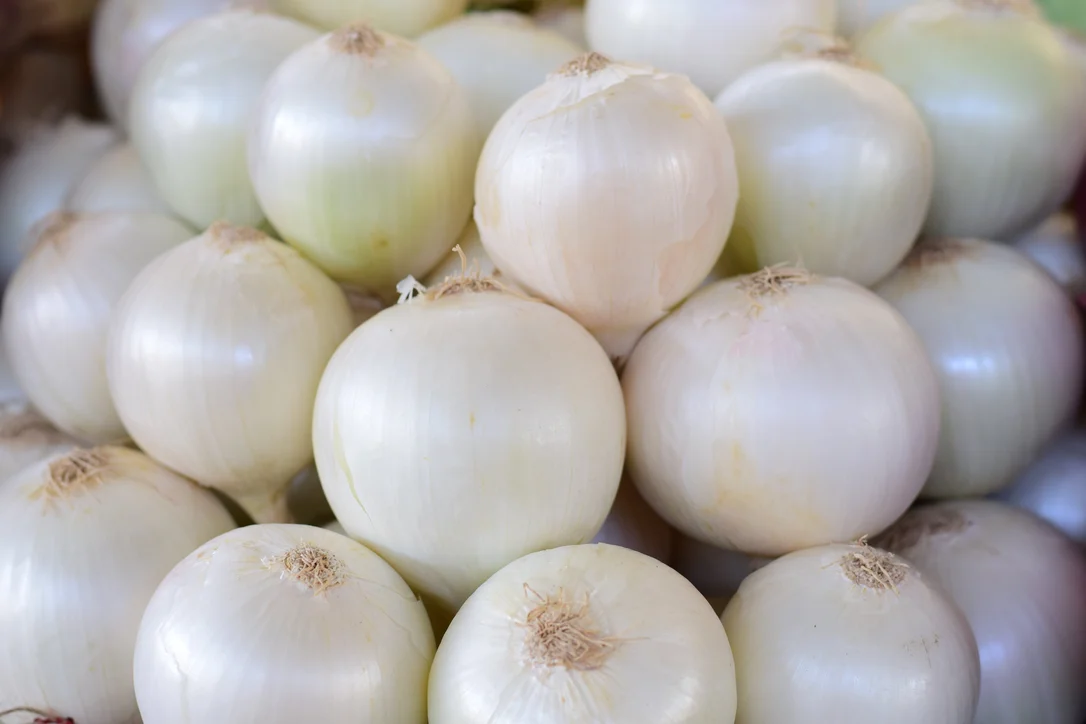 yorkshire-seeds2976024