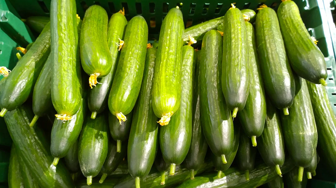 yorkshire-seeds2979171
