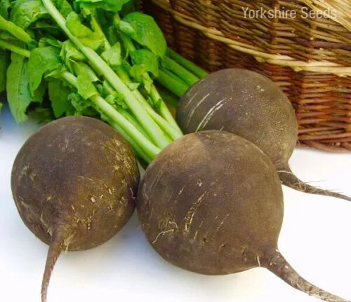 yorkshire-seeds2979945