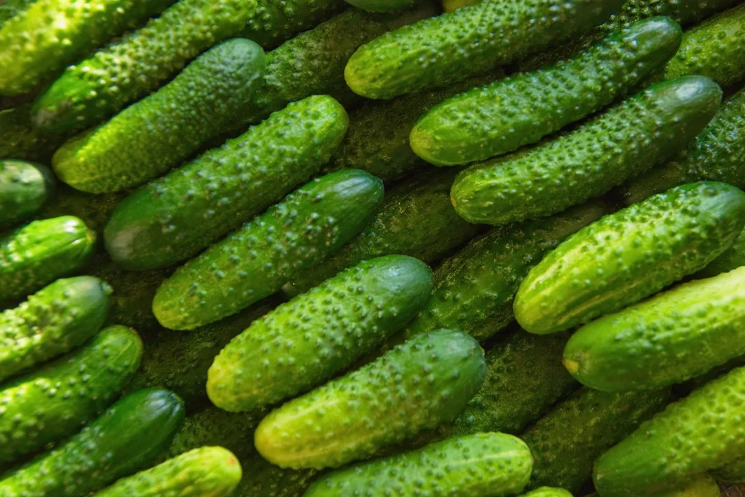 yorkshire-seeds2980078