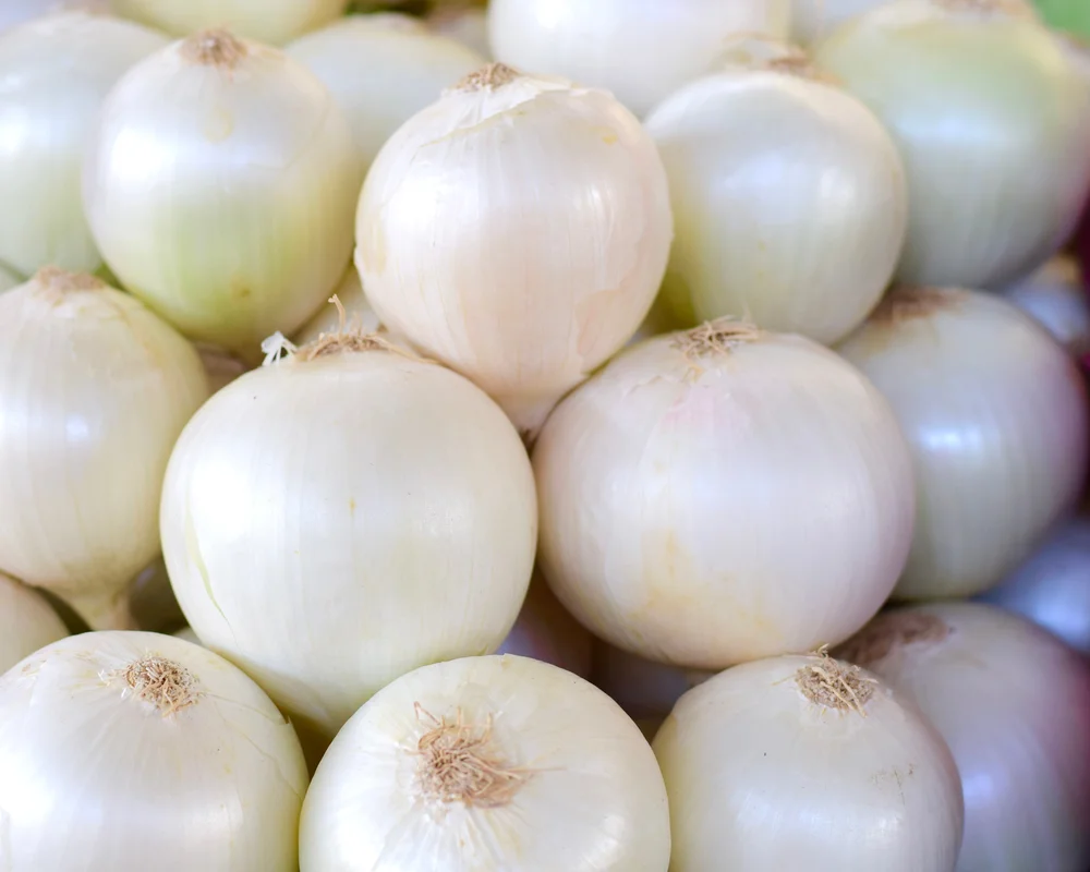 yorkshire-seeds2981856