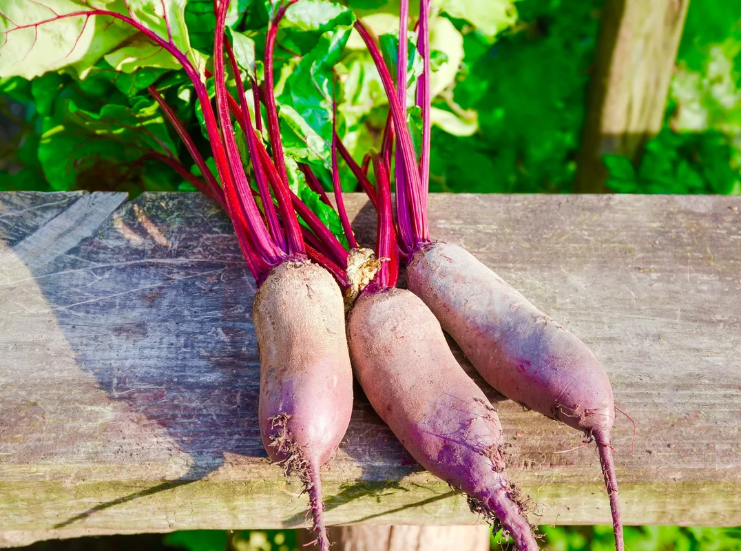 yorkshire-seeds2983375