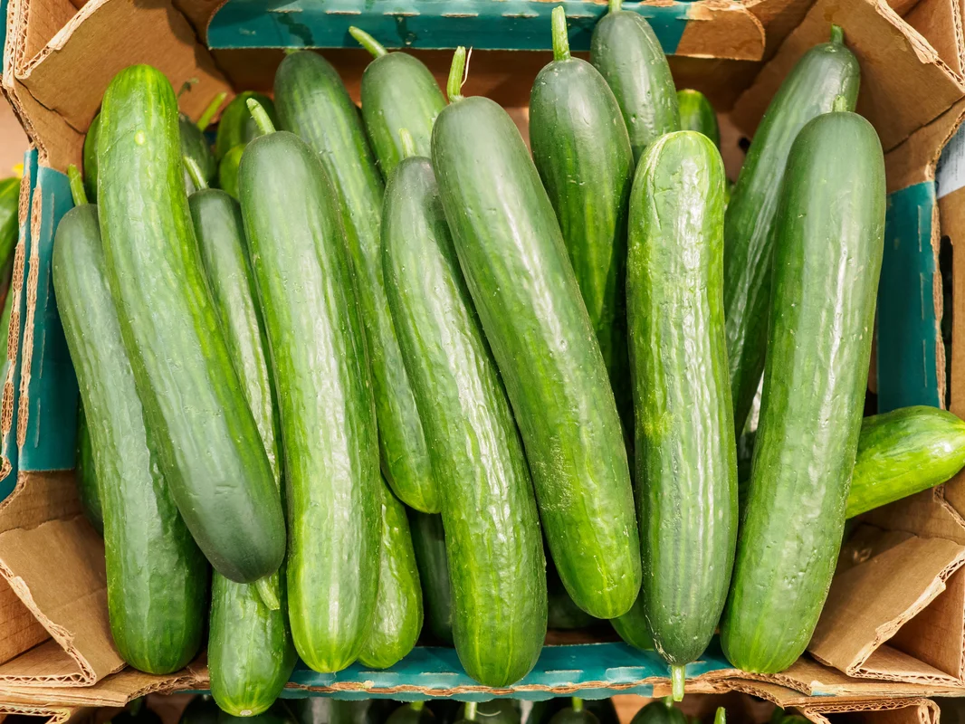 yorkshire-seeds2993697