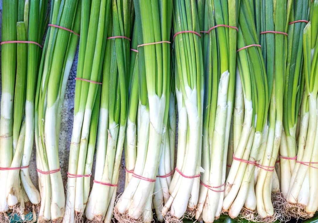 yorkshire-seeds2993913
