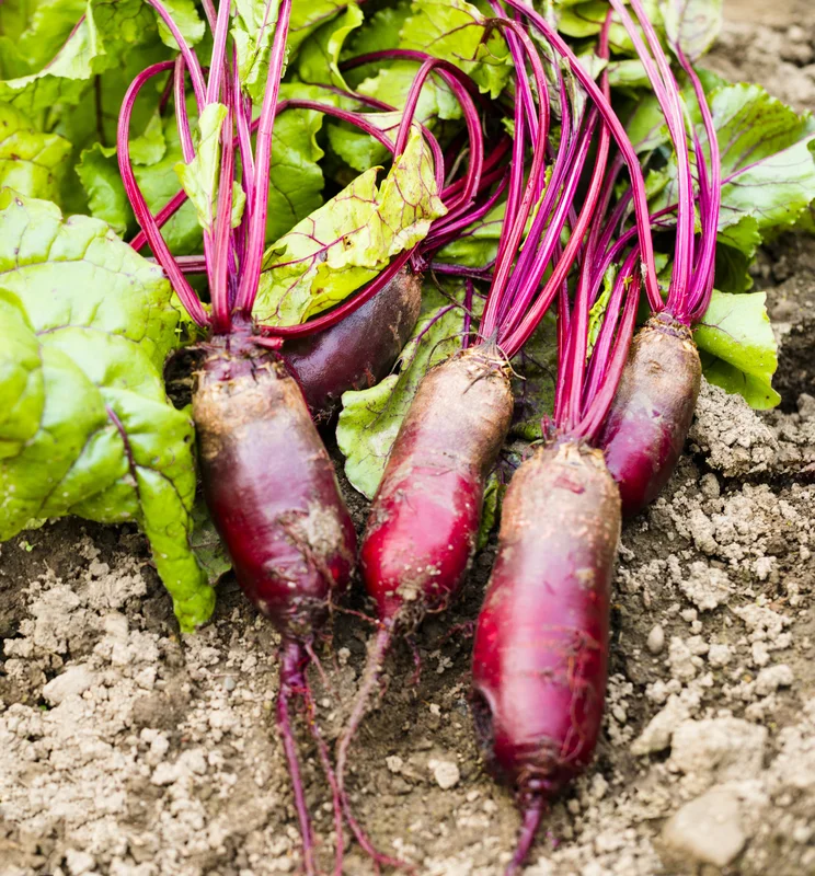 yorkshire-seeds2994343