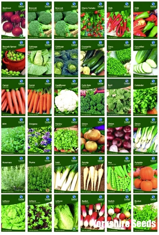 yorkshire-seeds2995481