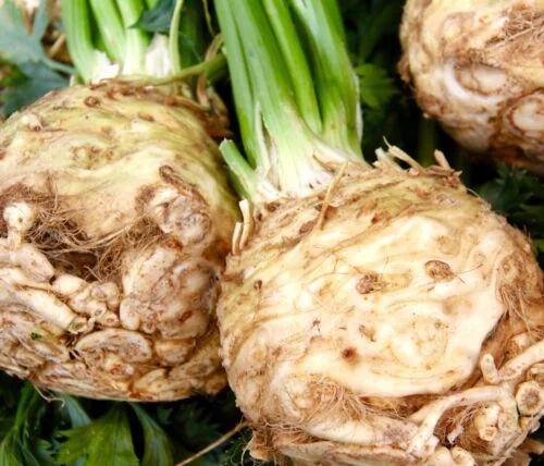 yorkshire-seeds2996220