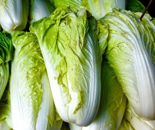 yorkshire-seeds2996461