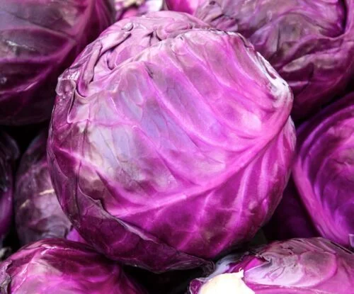 yorkshire-seeds2996634