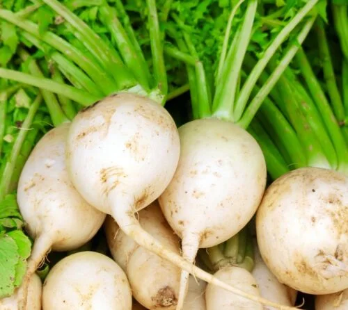 yorkshire-seeds2997010