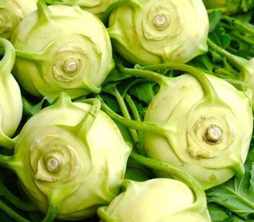 yorkshire-seeds2997424