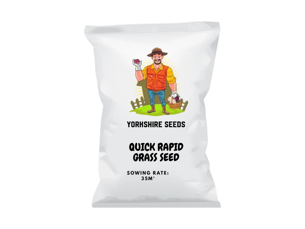 yorkshire-seeds2998988